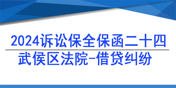 武侯区人民法院,诉讼保全