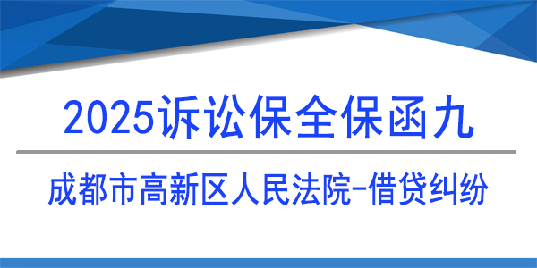 诉讼保全,财产保全,成都市高新区人民法院
