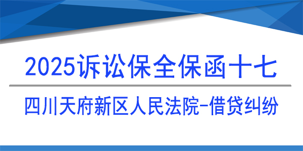 四川天府新区人民法院,诉讼保全,财产保全